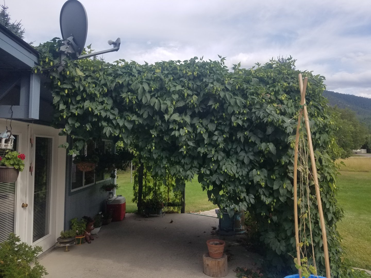 20190824_163901.jpg
