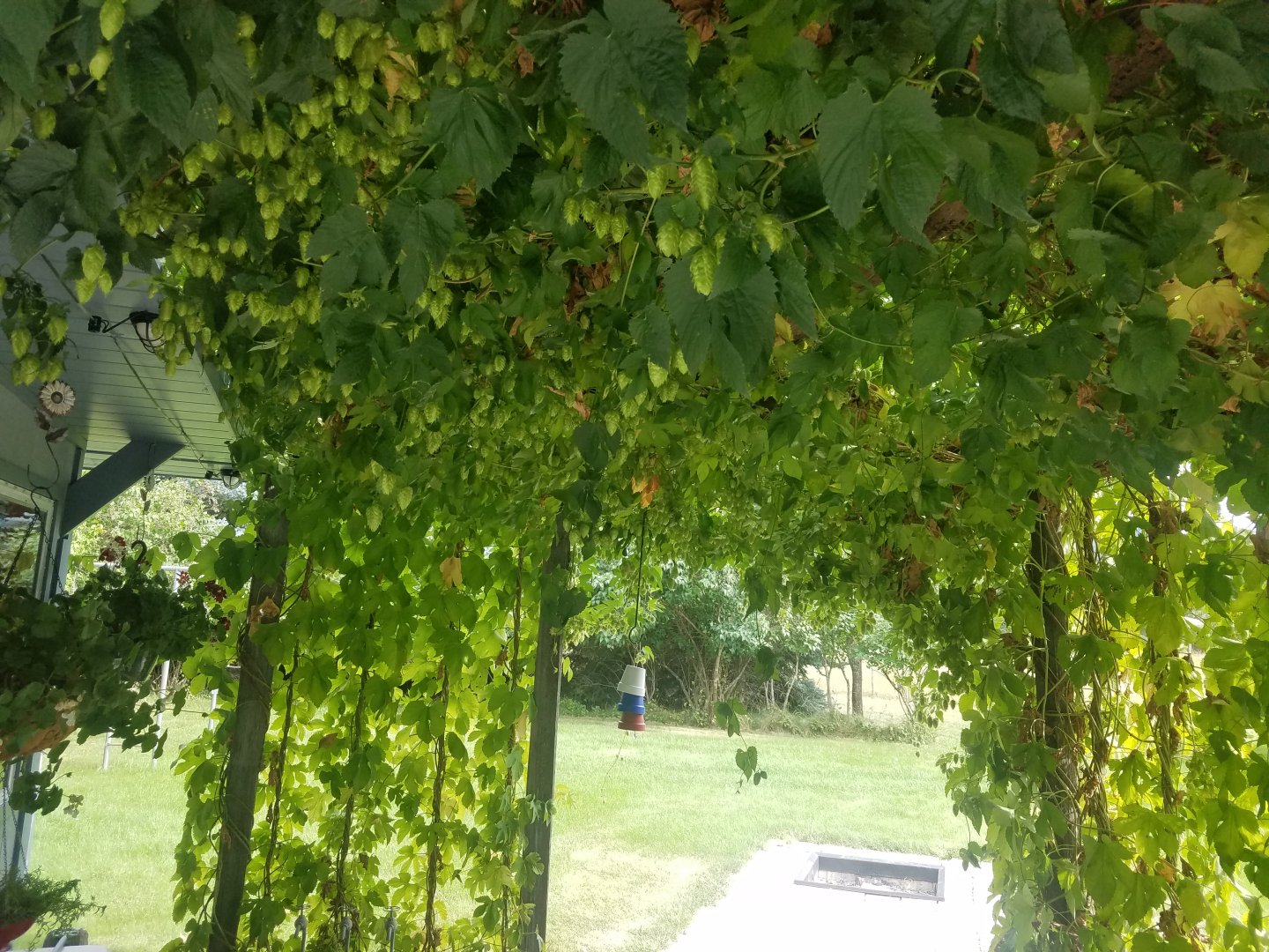 20190824_163934.jpg