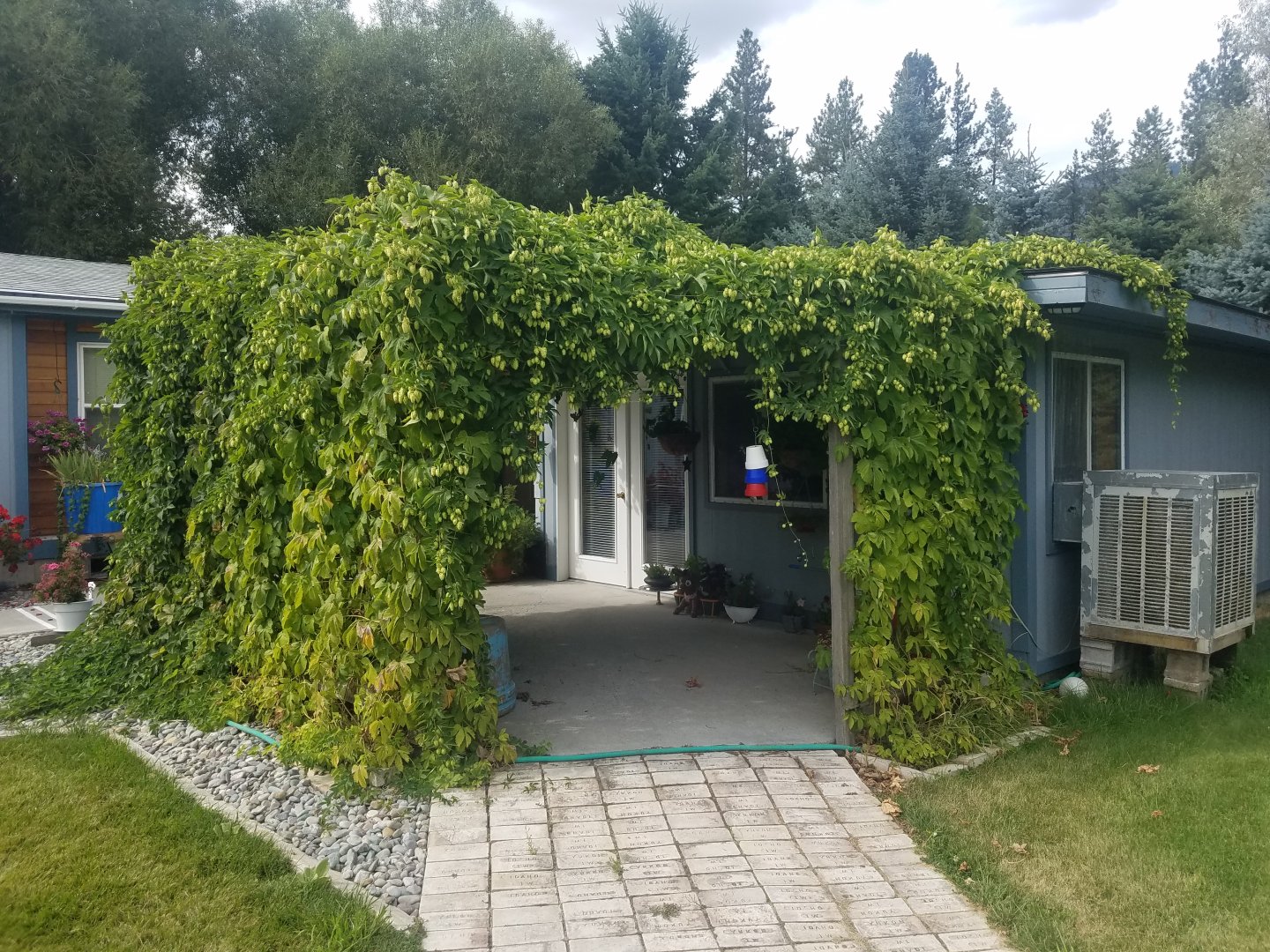 20190824_163951.jpg