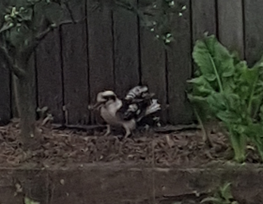 20190828_172209.jpg