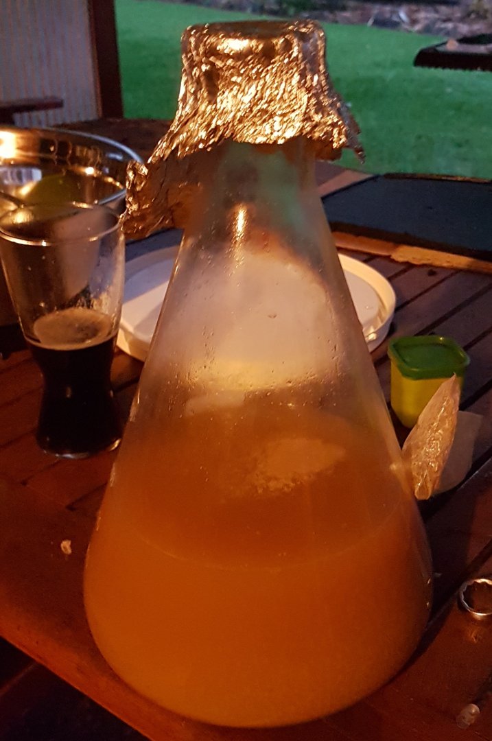 20191027_181005.jpg