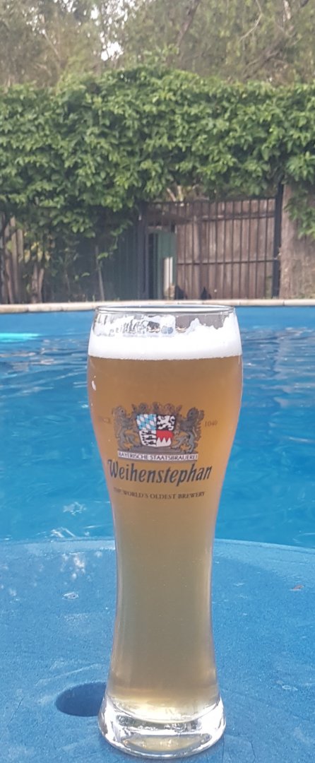 20191110_180258.jpg