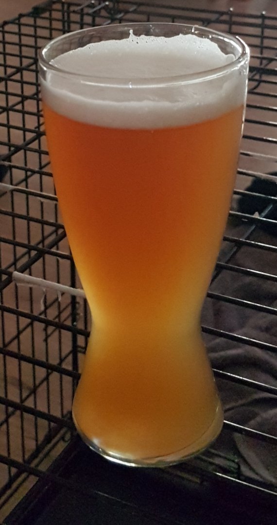 20191216_160236.jpg