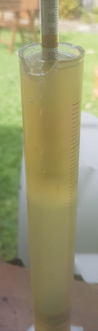 20200903_132036.jpg