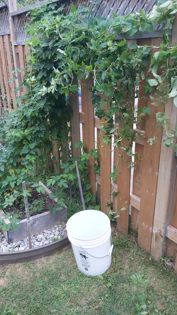20200905_104722.jpg