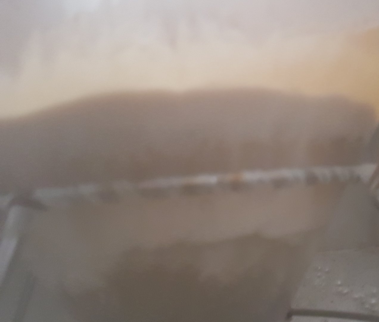 20200911_100656.jpg
