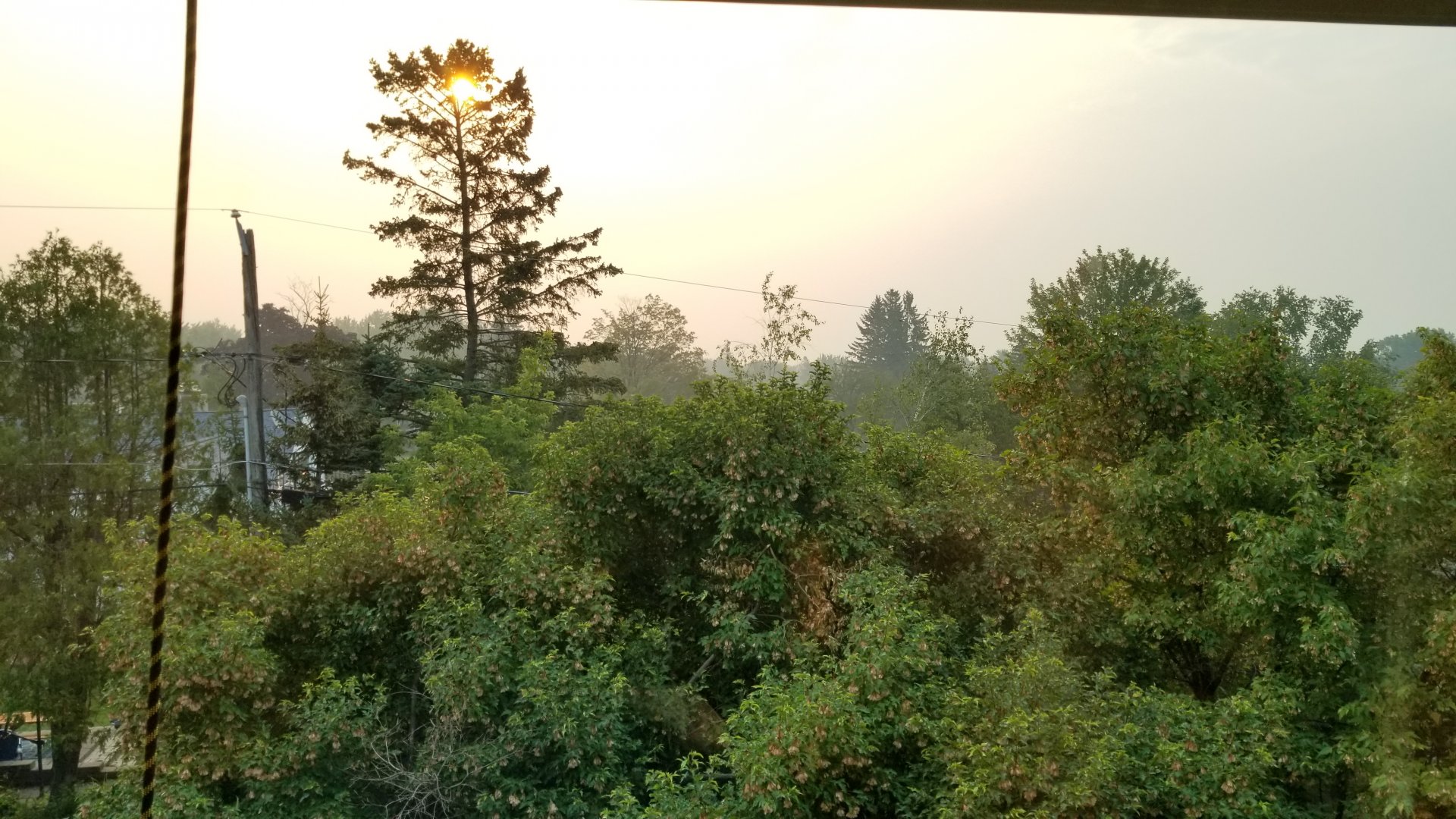 2021-08-26 07.38.43.jpg