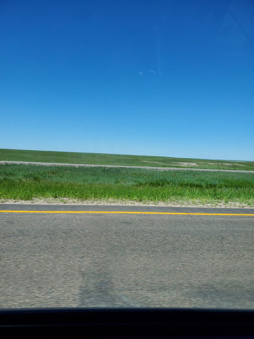 20210604_144618.jpg