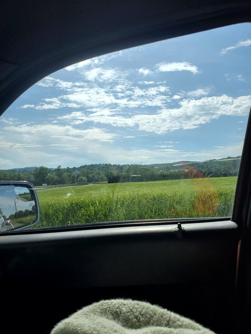 20210607_164354.jpg