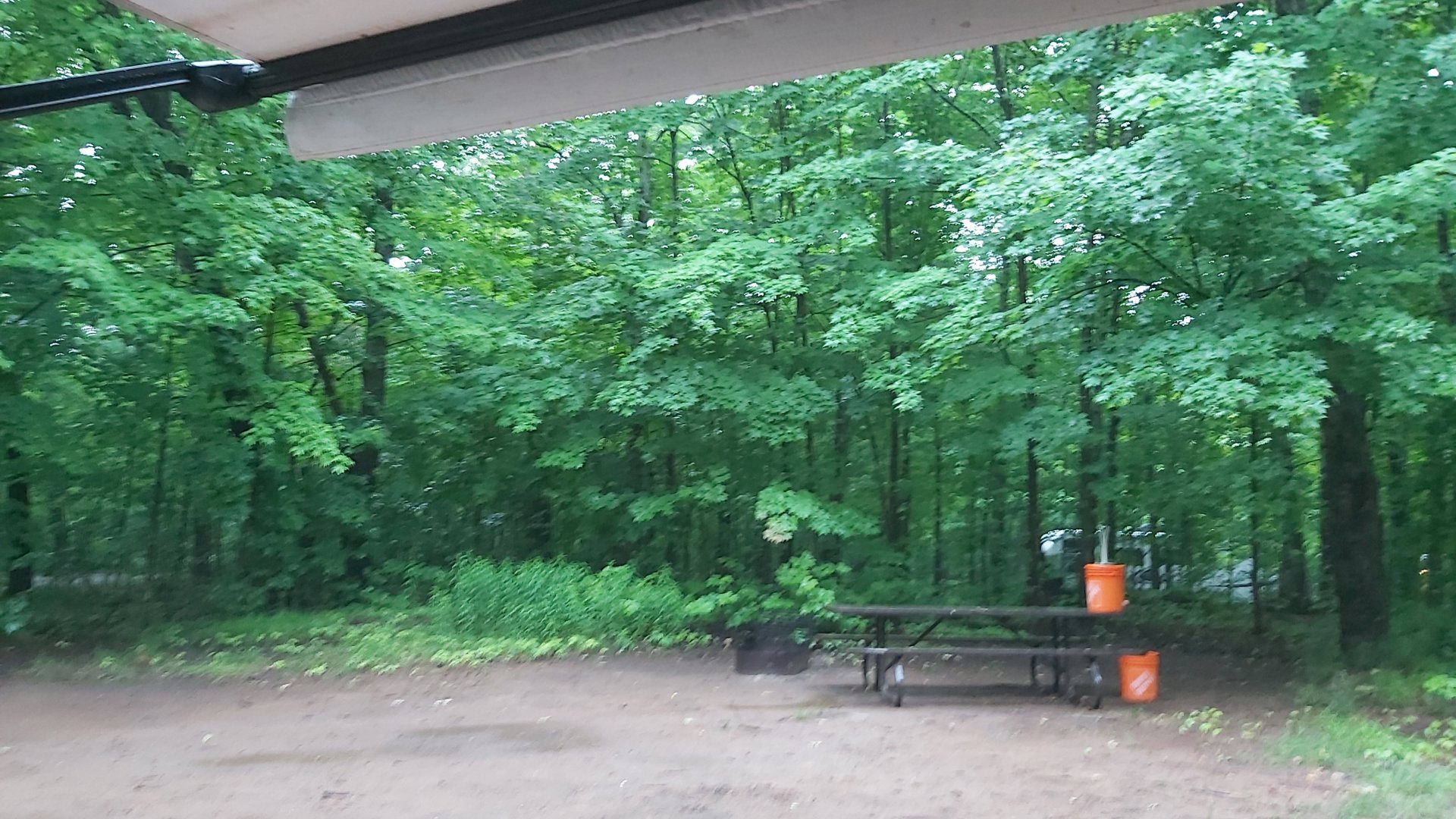 20210626_171835.jpg