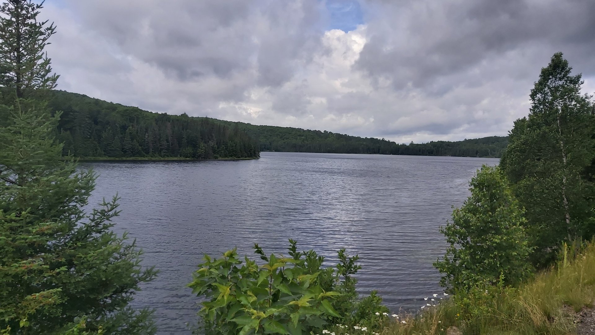 20210630_113244.jpg
