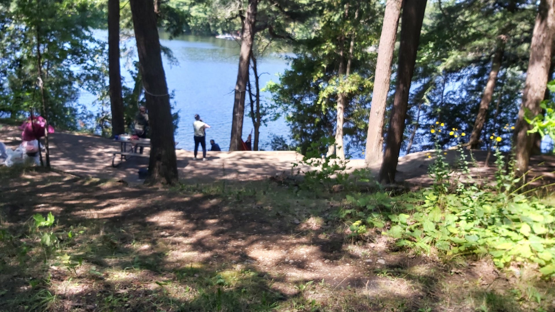 20210802_124627.jpg