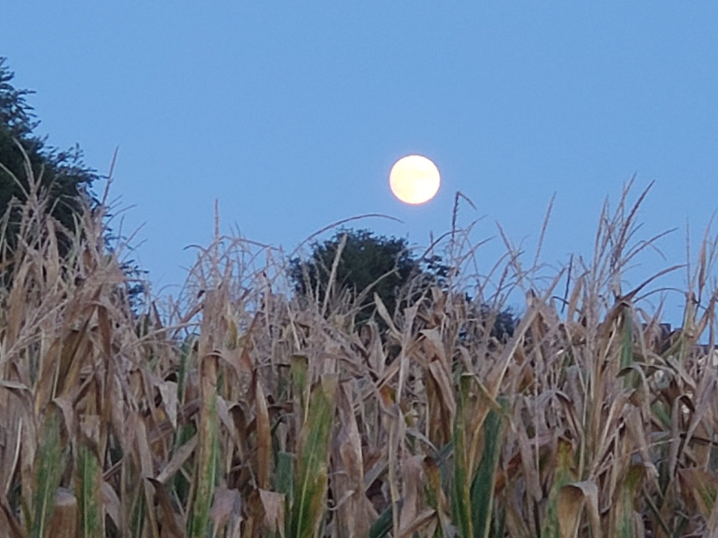 20210919_191540.jpg