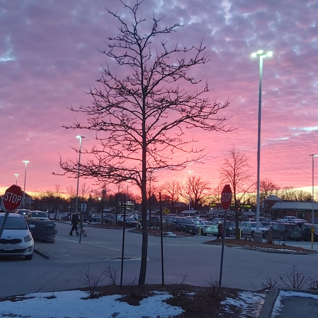 20220116_172241.jpg