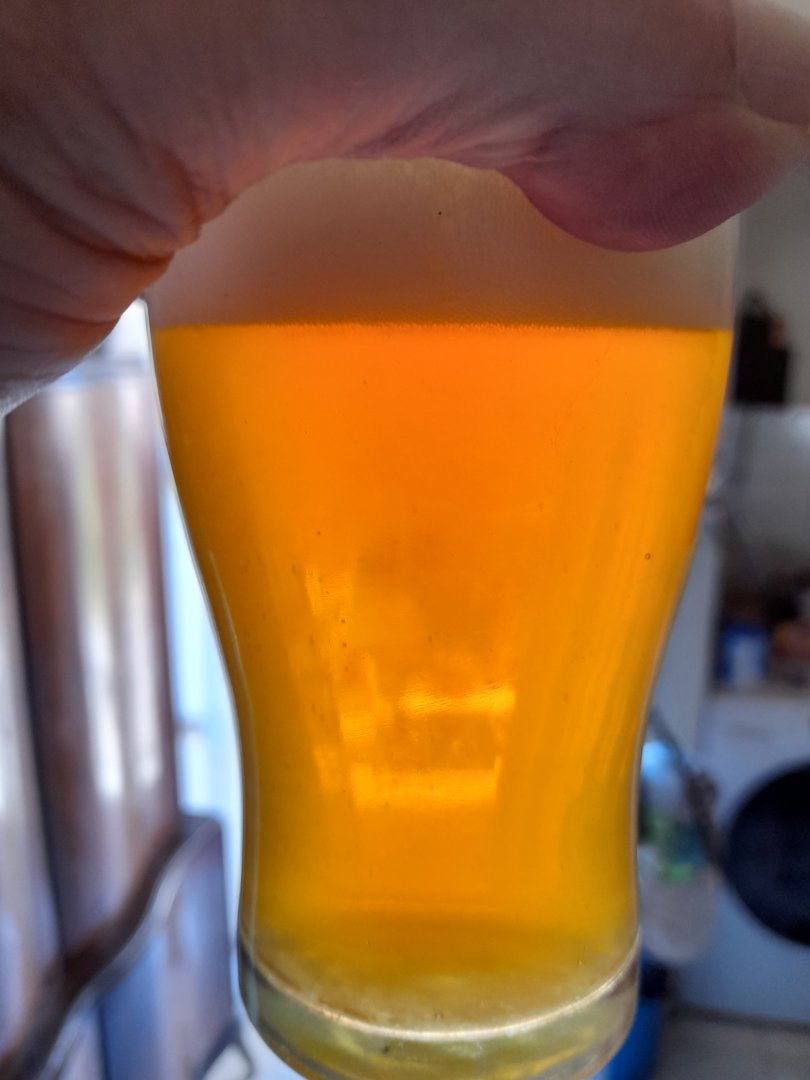 20220415_132300.jpg