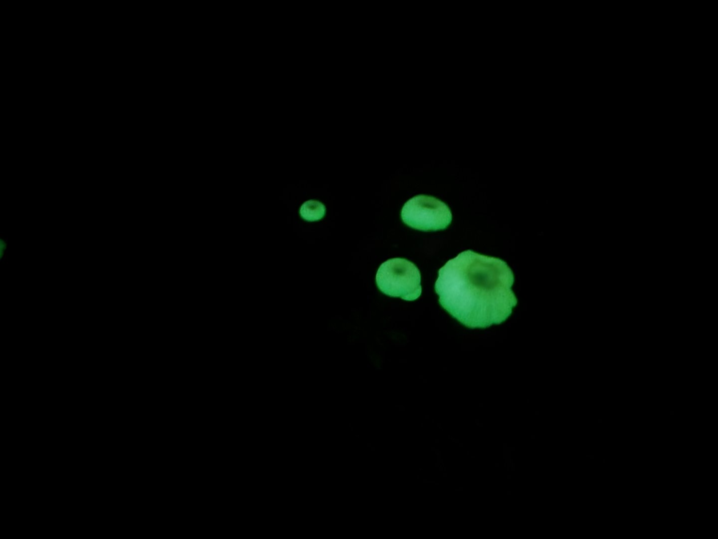 20220501_193229.jpg