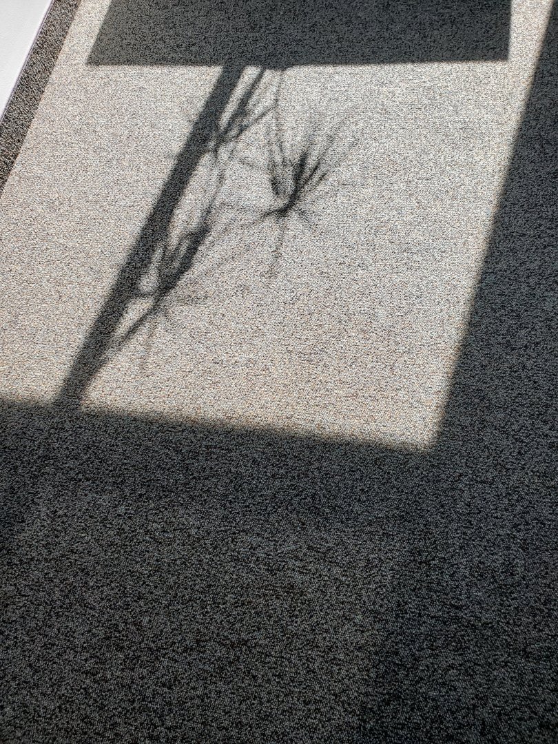 20220512_090621.jpg