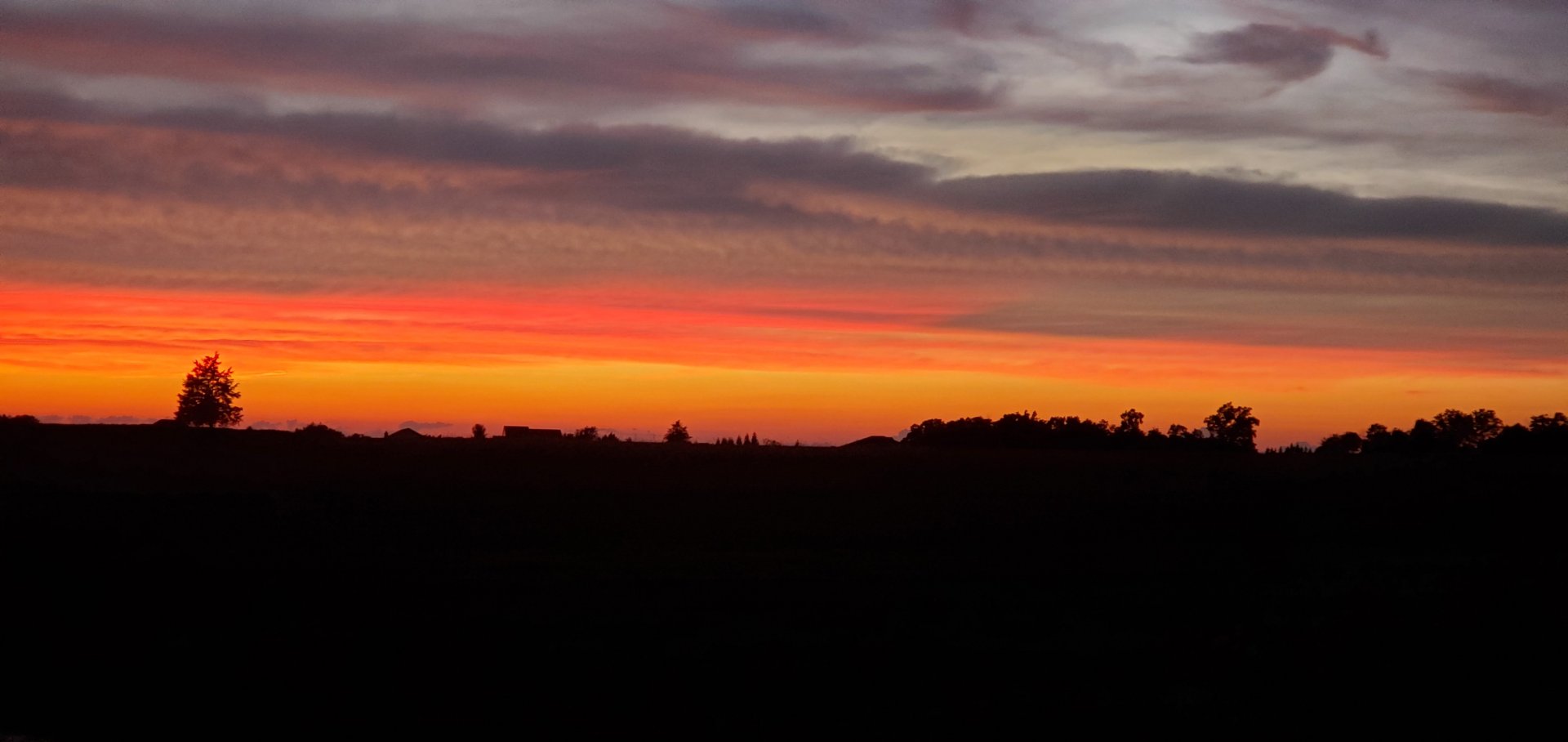 20220712_205822.jpg