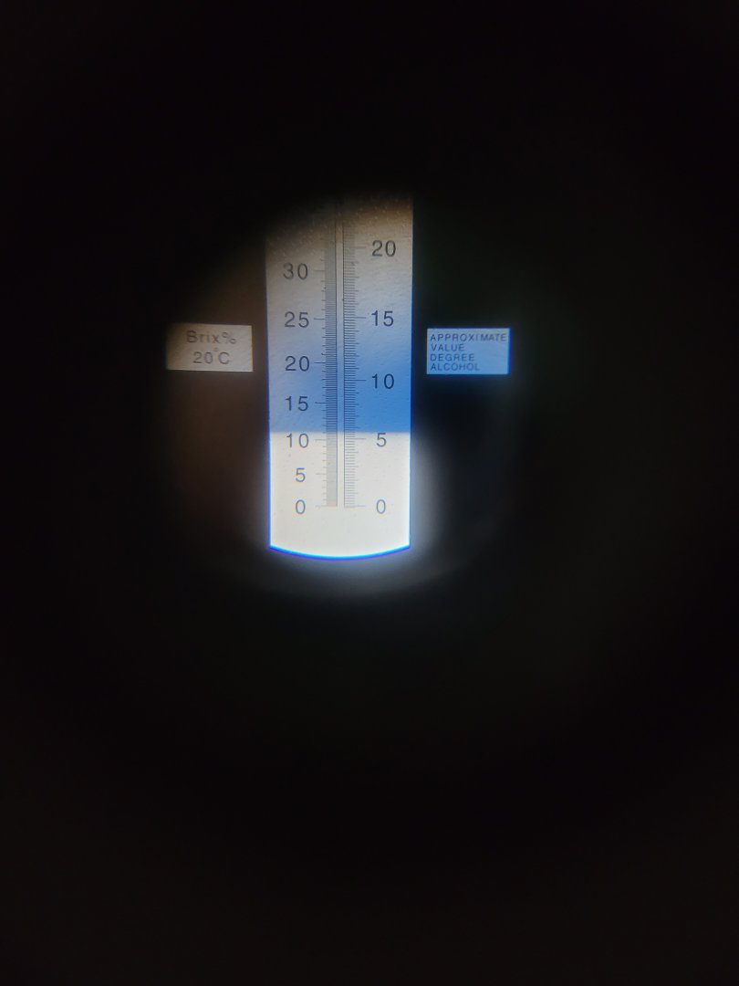 20220723_160513.jpg