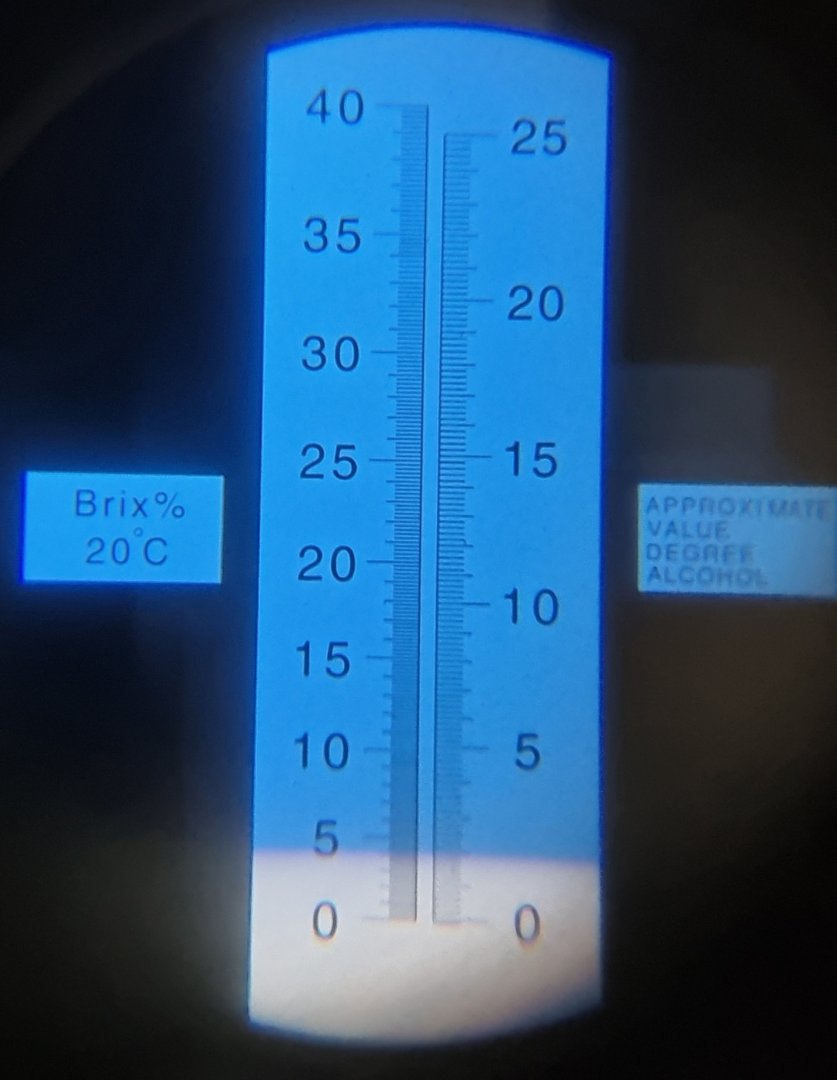20221125_174735.jpg