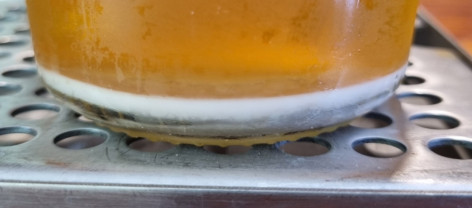 20221203_123124.jpg