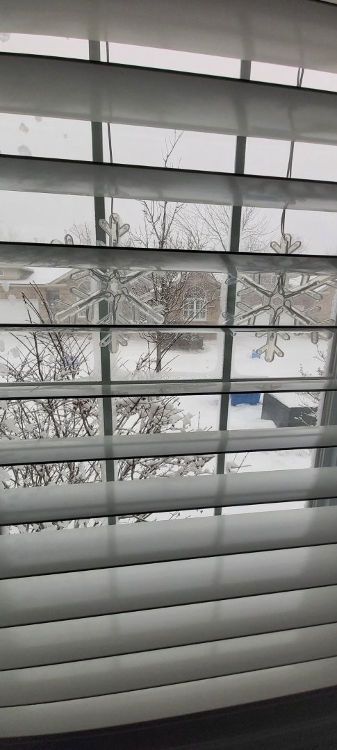 20221223_133103.jpg