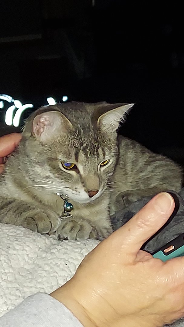 20230128_211524.jpg