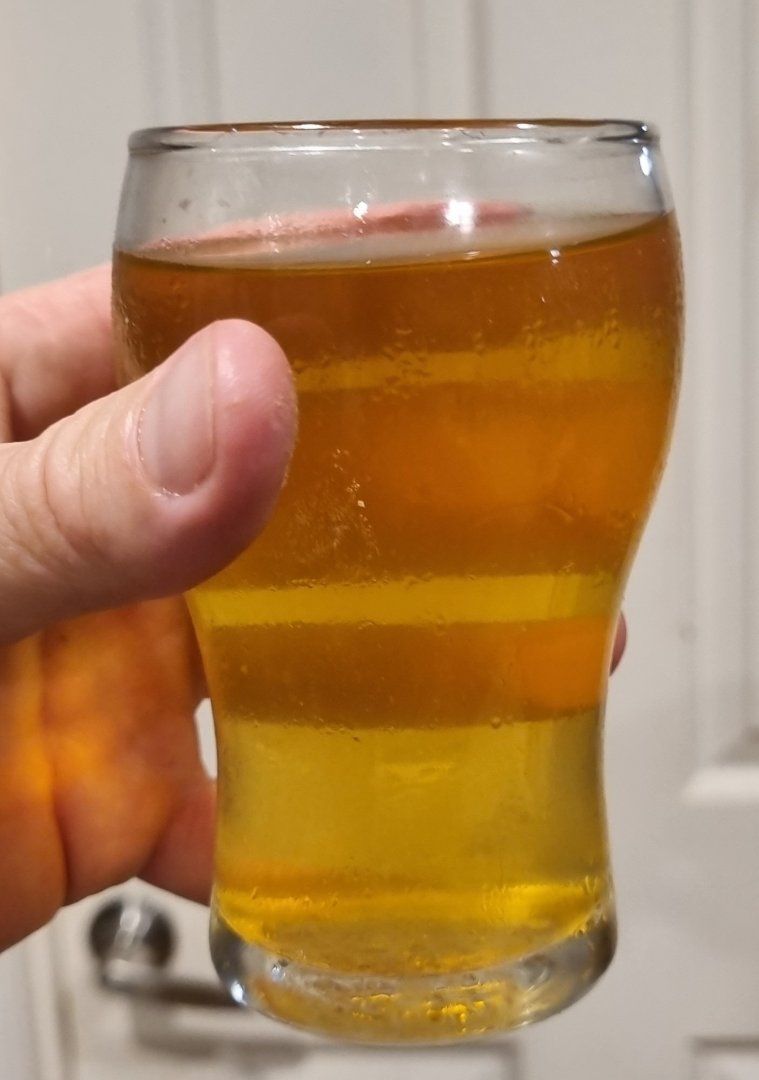 20230402_180209.jpg