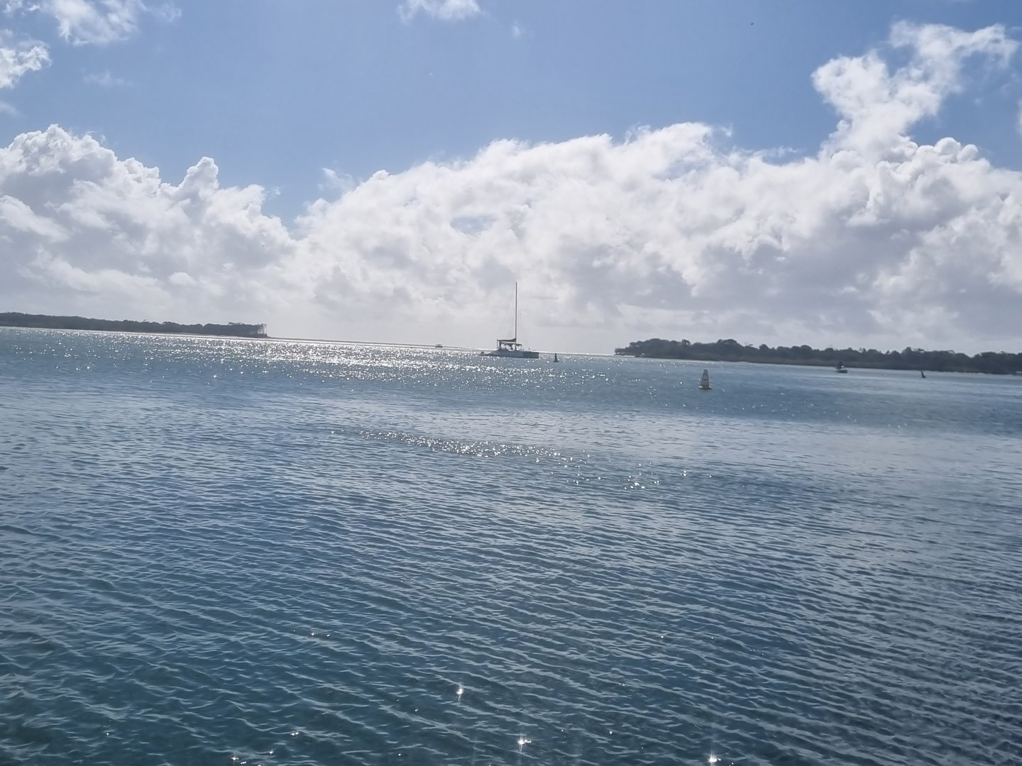 20230511_104450.jpg