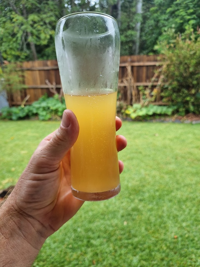 20230513_153554.jpg