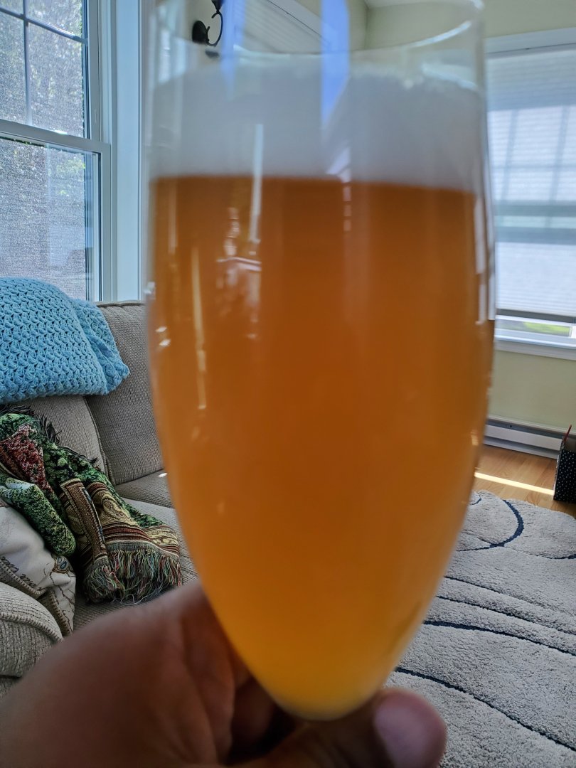 20230526_155855.jpg