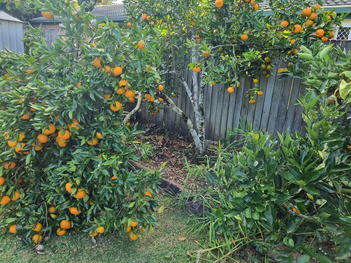 20230527_151526.jpg