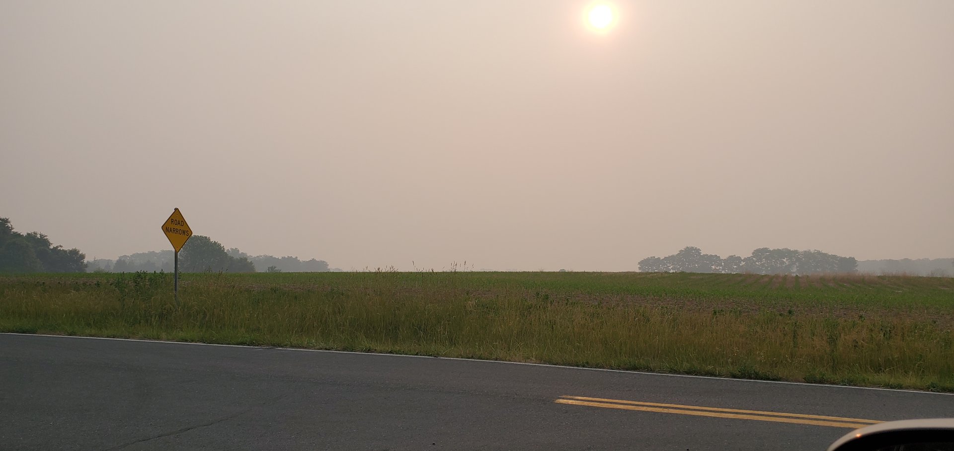 20230608_074039.jpg