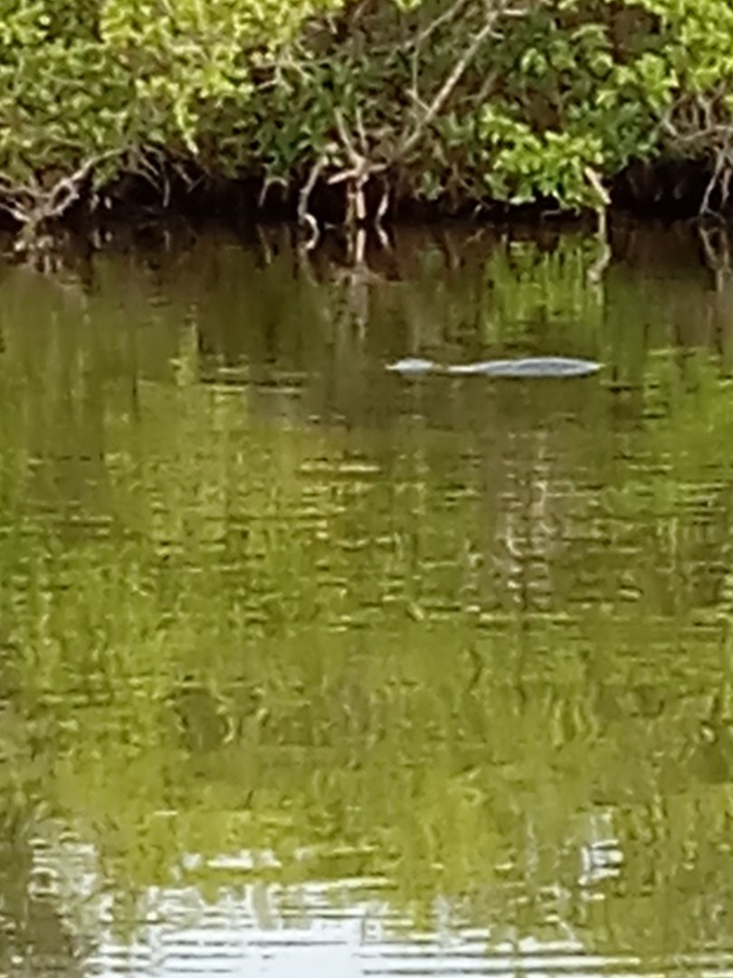 20230704_102325.jpg