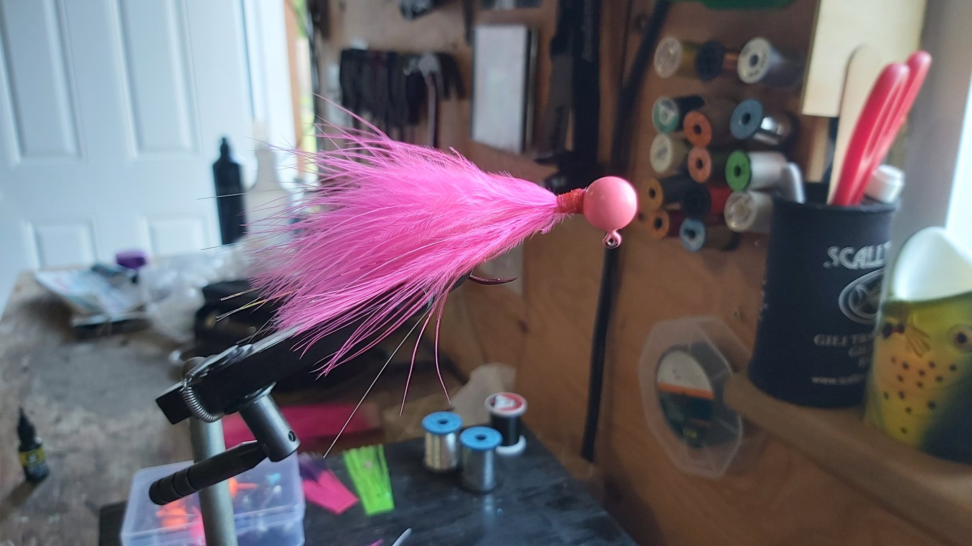 20230710_184616.jpg