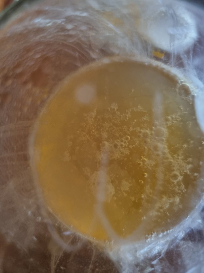 20230822_155919.jpg