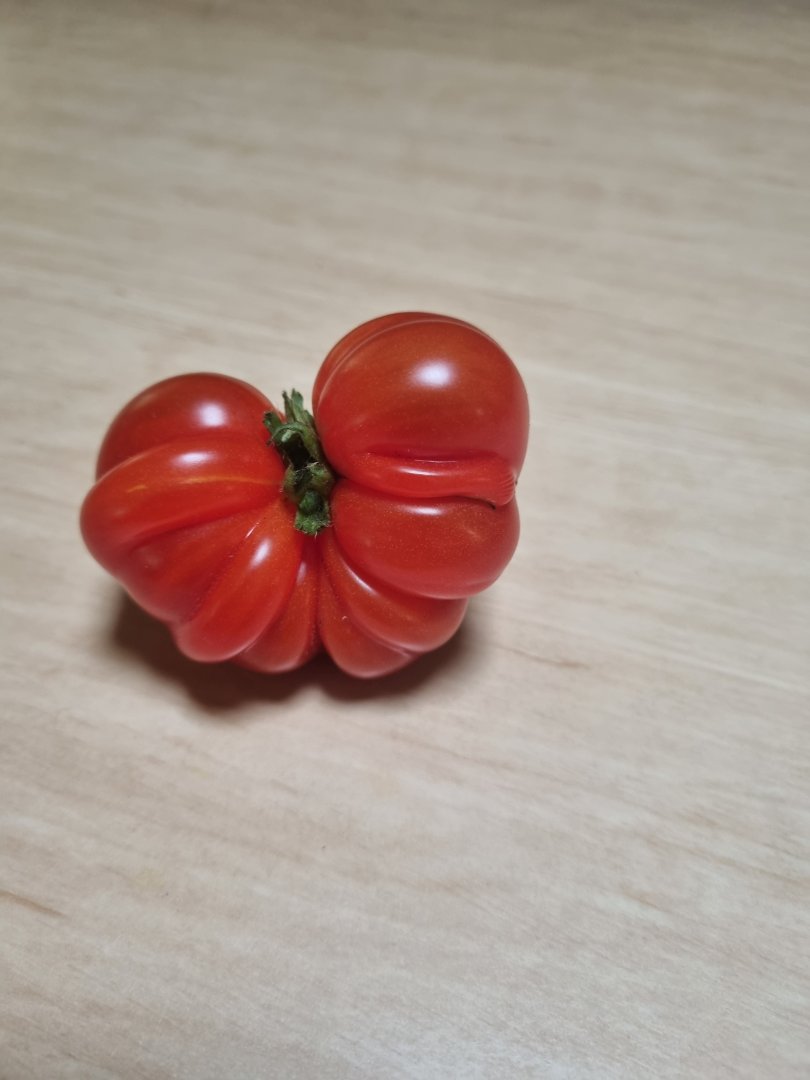 20230924_083117.jpg
