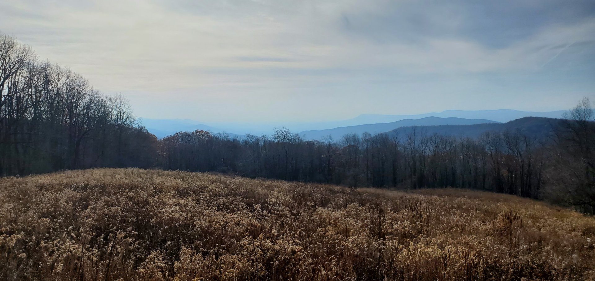20231106_143453.jpg