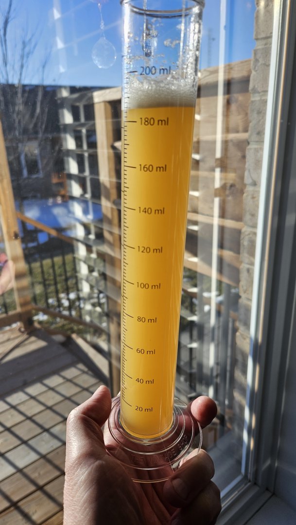20240220_163026.jpg