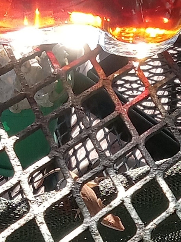 20240225_161549.jpg