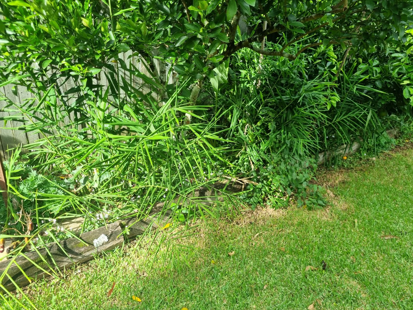 20240313_153512.jpg