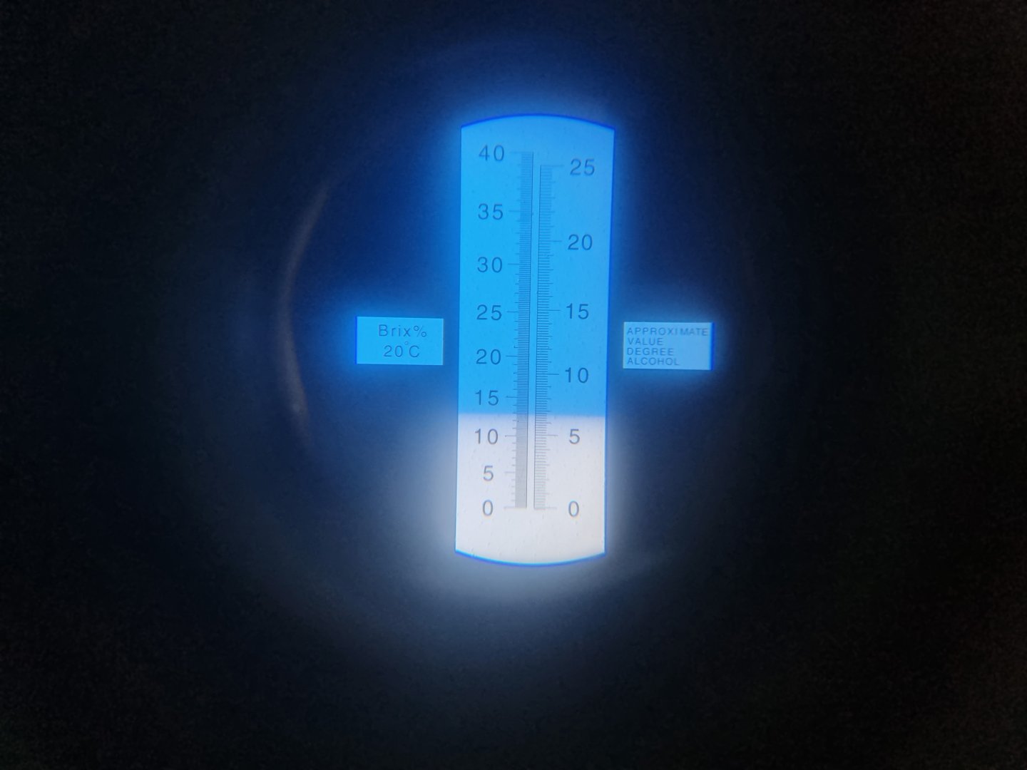 20240331_155105.jpg