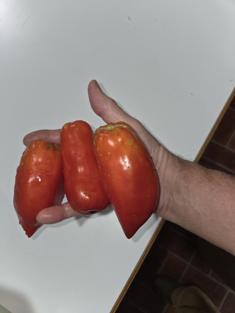 20250901_113756.jpg