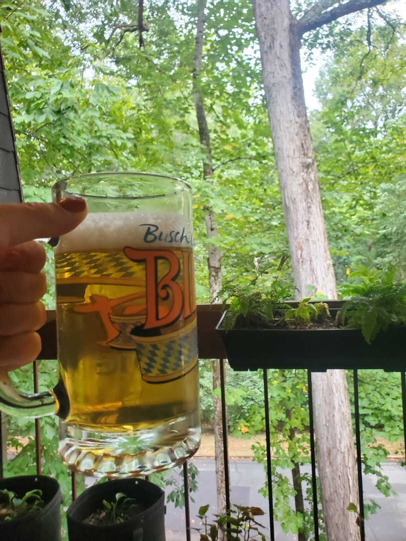 20250906_162603.jpg
