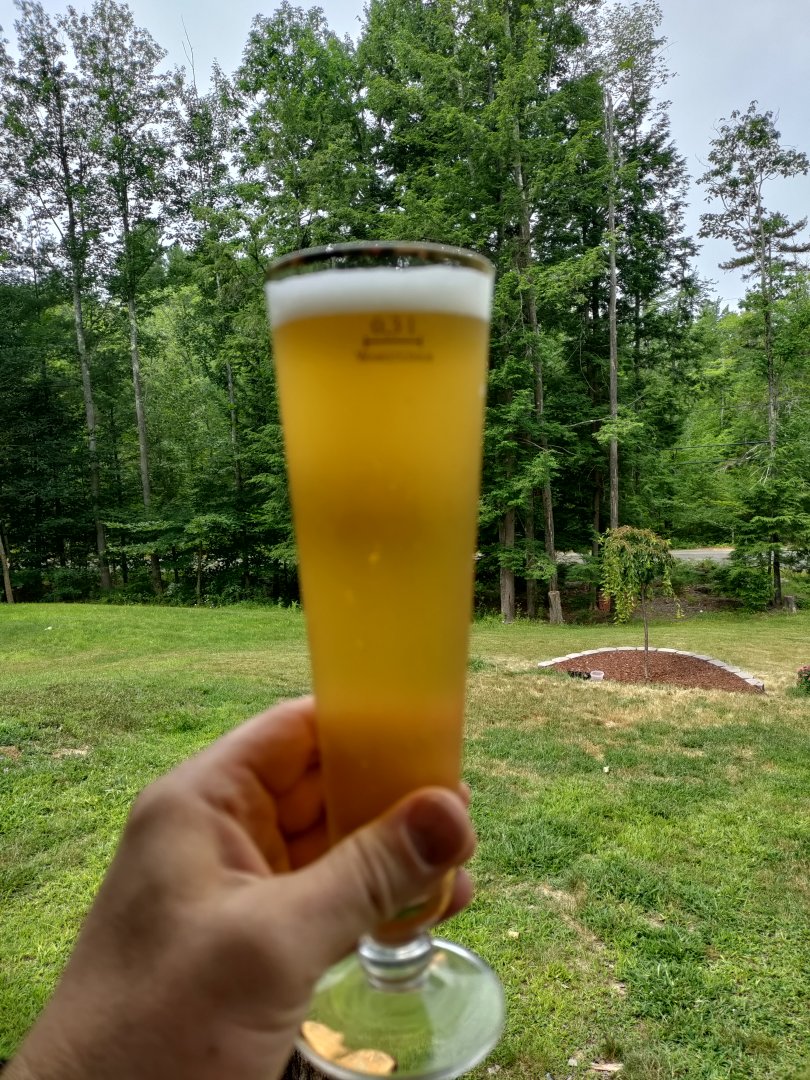 American Wheat (Koln yeast).jpg