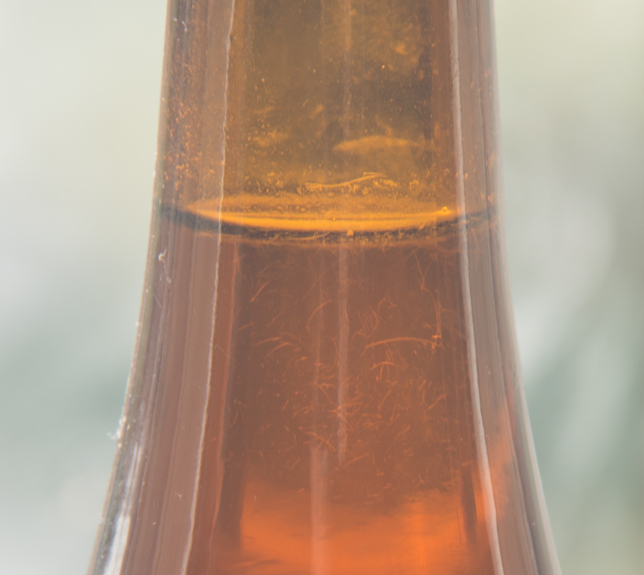 Beer1.jpg