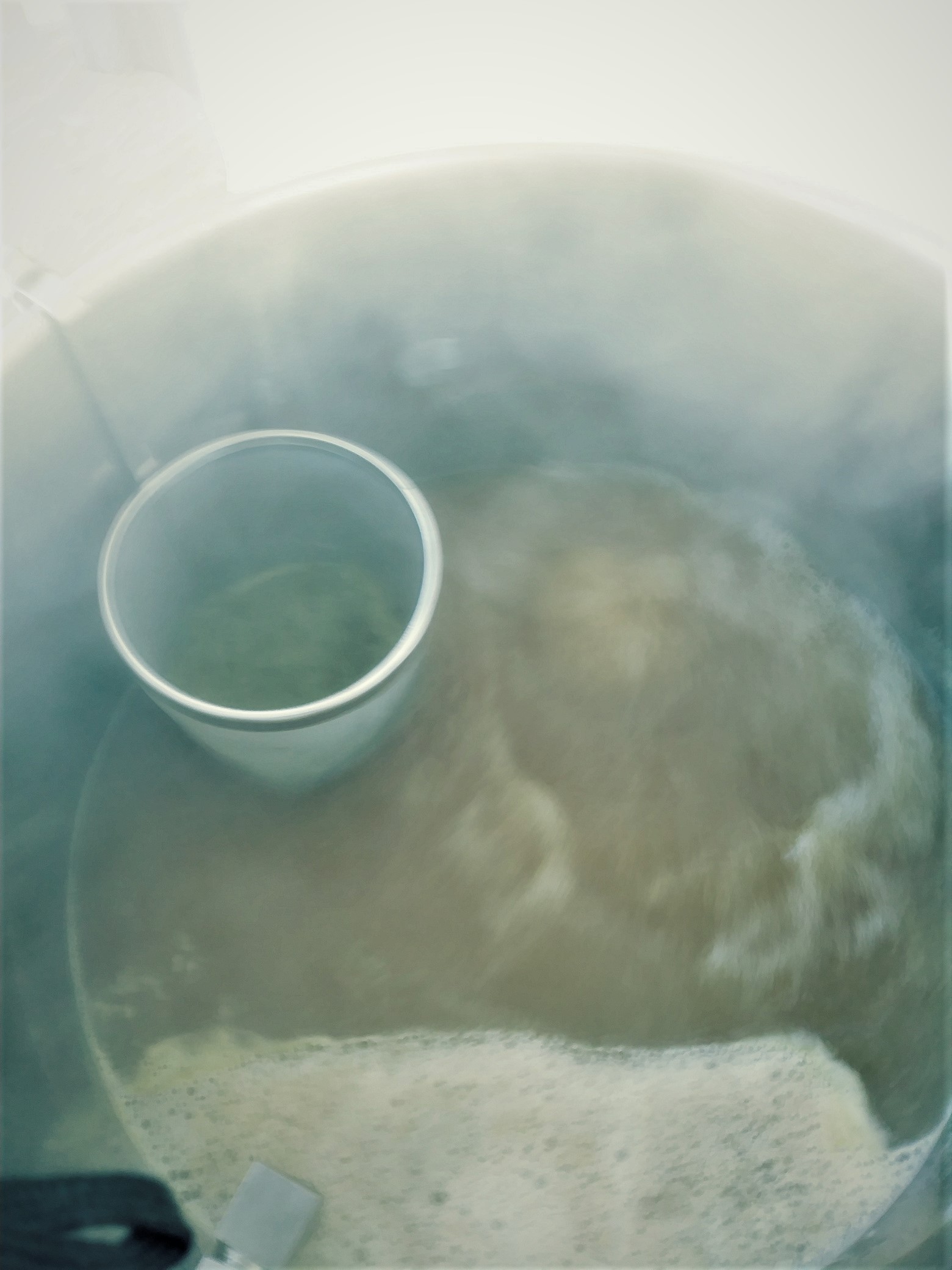 Boil.jpg