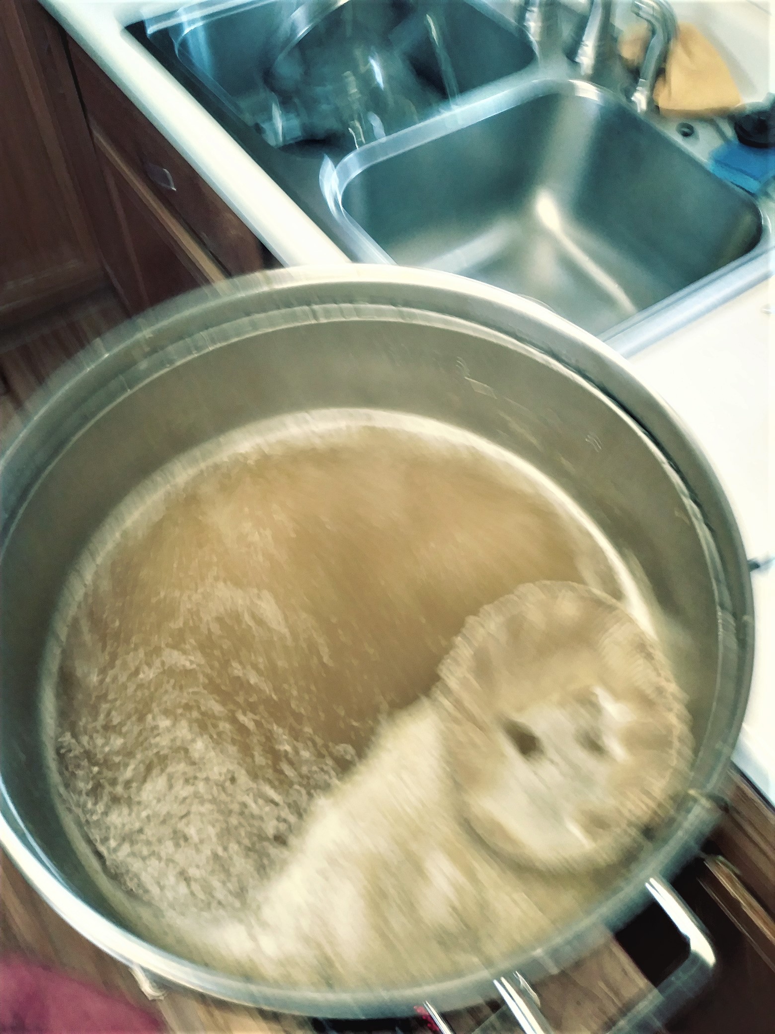 Boil.jpg