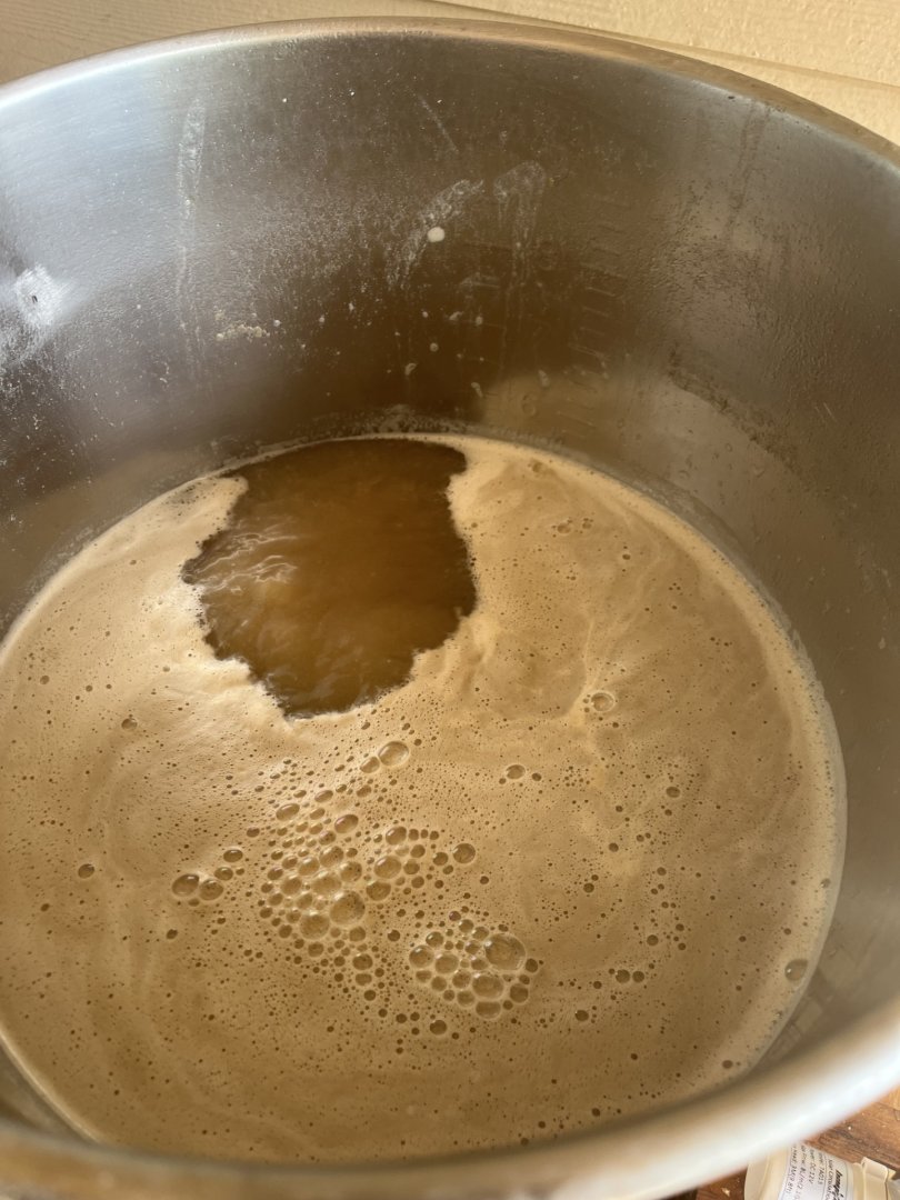 BrewDay20250715-4.jpg