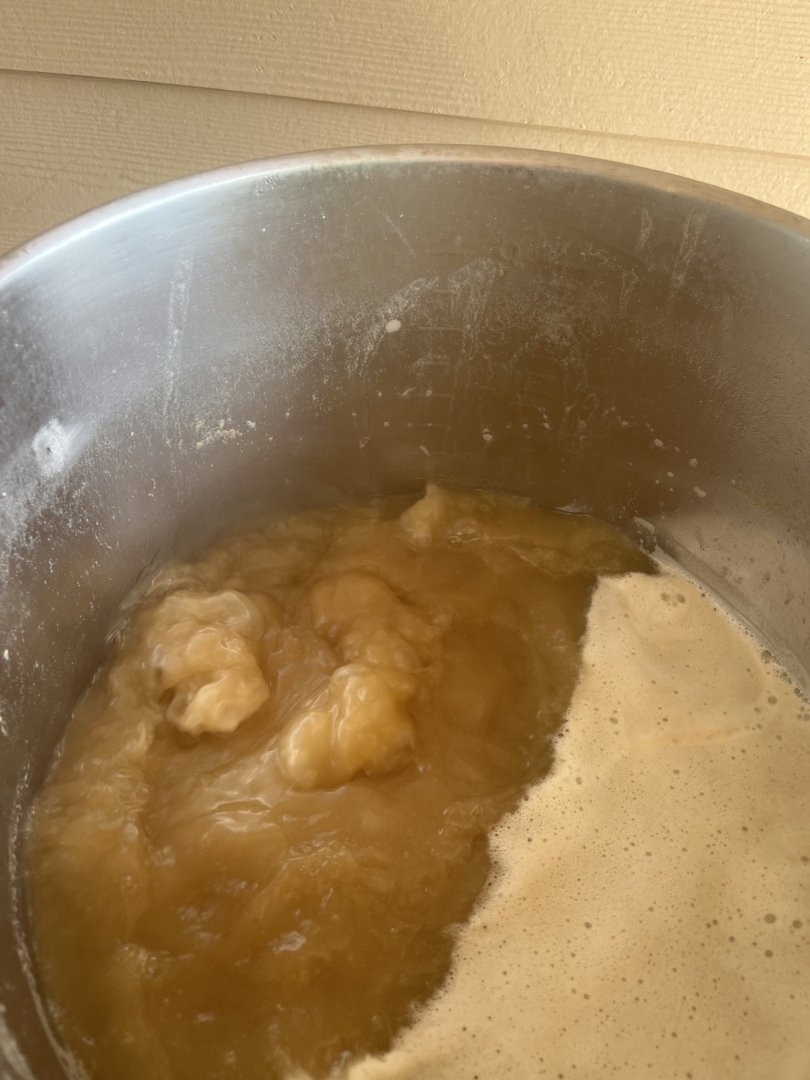 BrewDay20250715-5.jpg